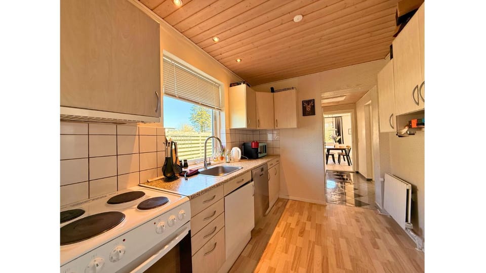 Kitchen or kitchenette, dishwasher, oven, stove, kitchen