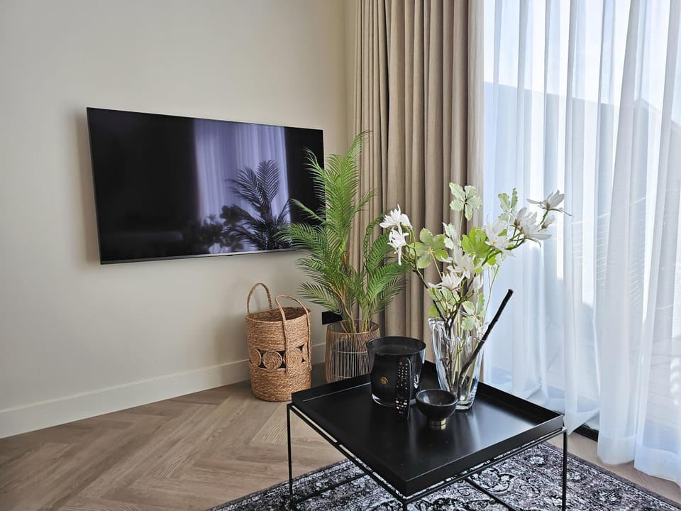 TV and multimedia