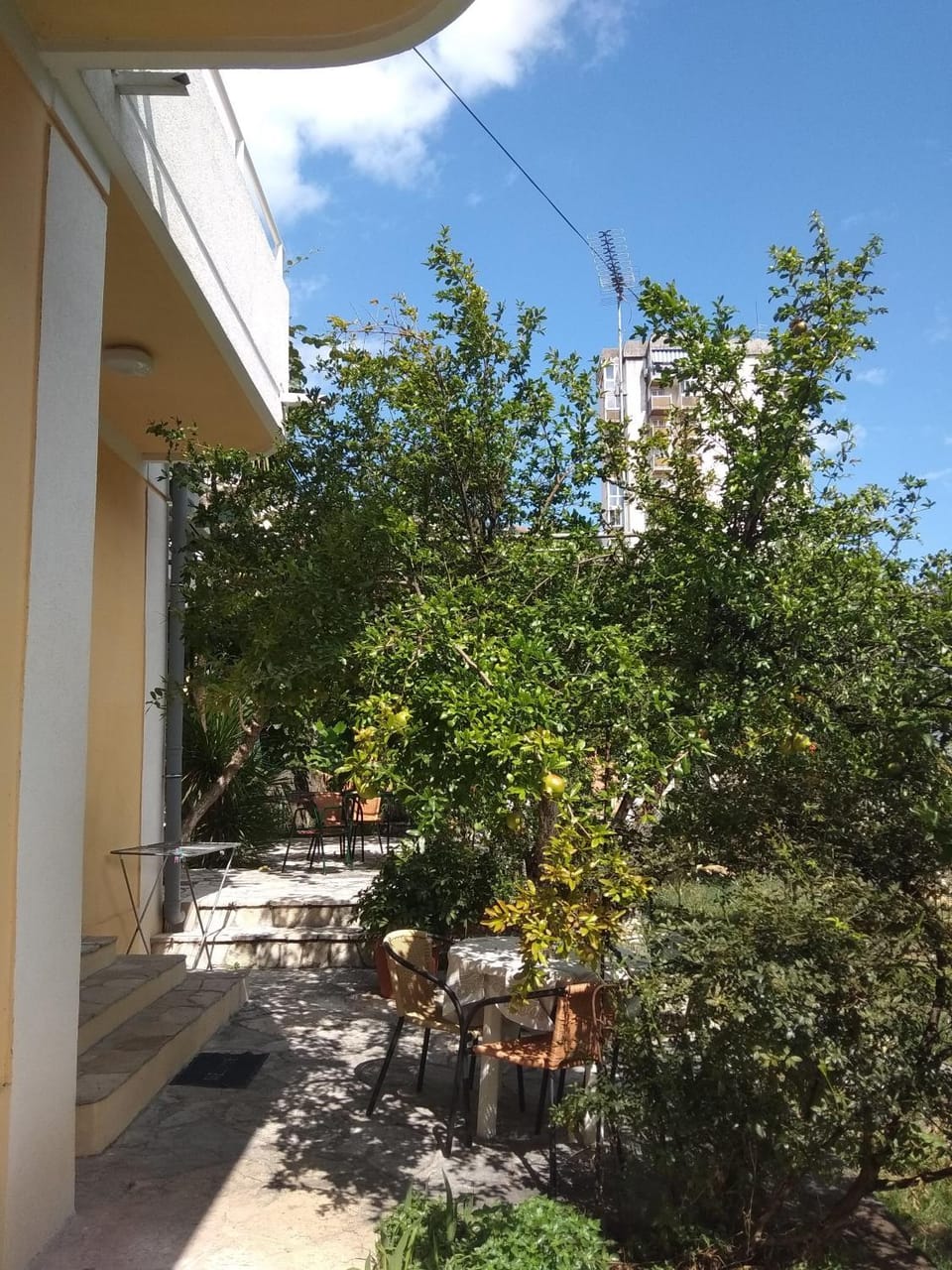 Patio, Garden view, Inner courtyard view