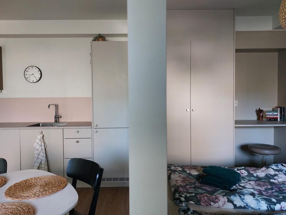 Bed, Kitchen or kitchenette, Photo of the whole room, Bedroom, wardrobe