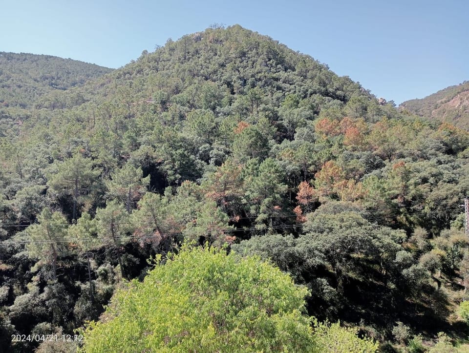 Day, Natural landscape, Balcony/Terrace, Mountain view
