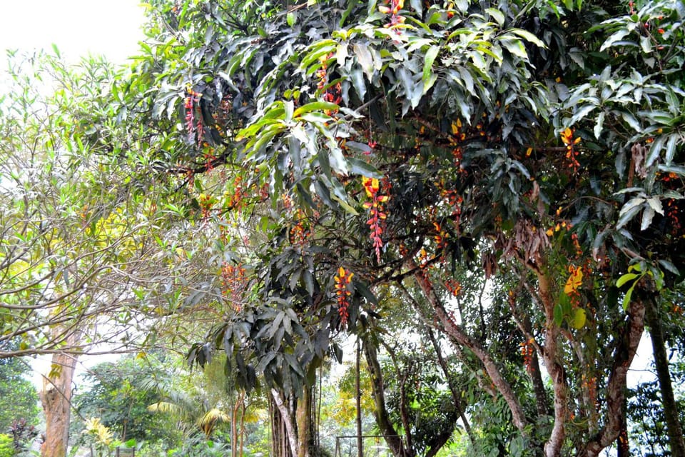 Sama Uyana Holiday Bungalow House in Central Province