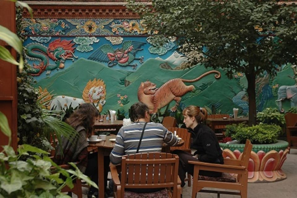 Garden