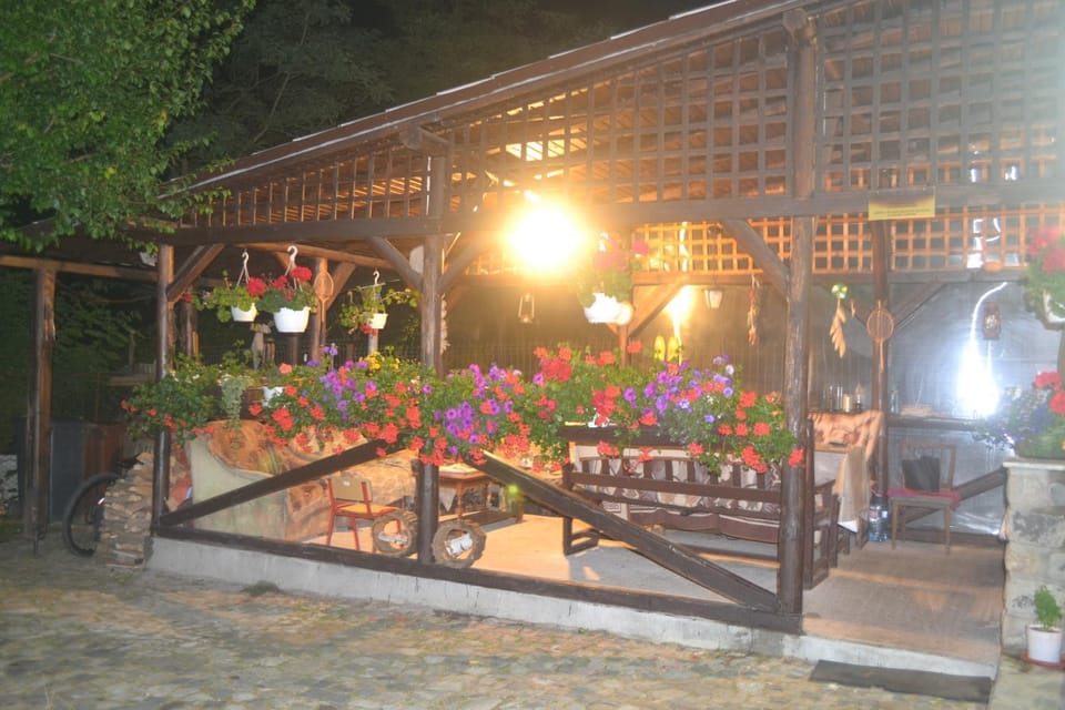 Vila Pitty Bed and Breakfast in Sinaia