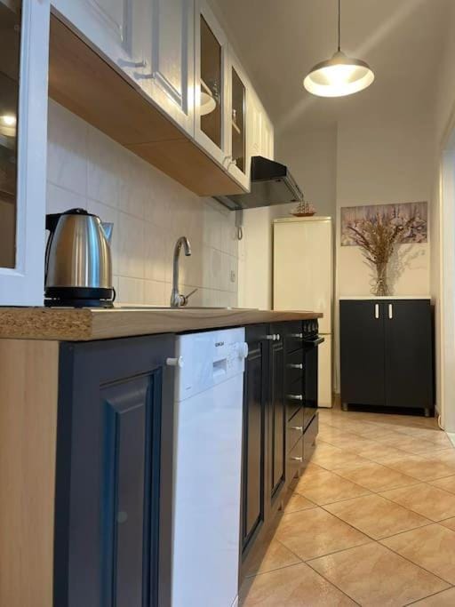 Kitchen or kitchenette, dishwasher, stove
