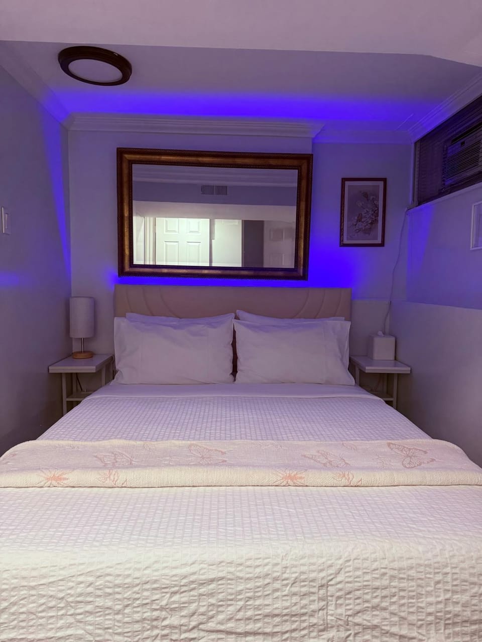 Intercon Ground Apartment in Jamaica