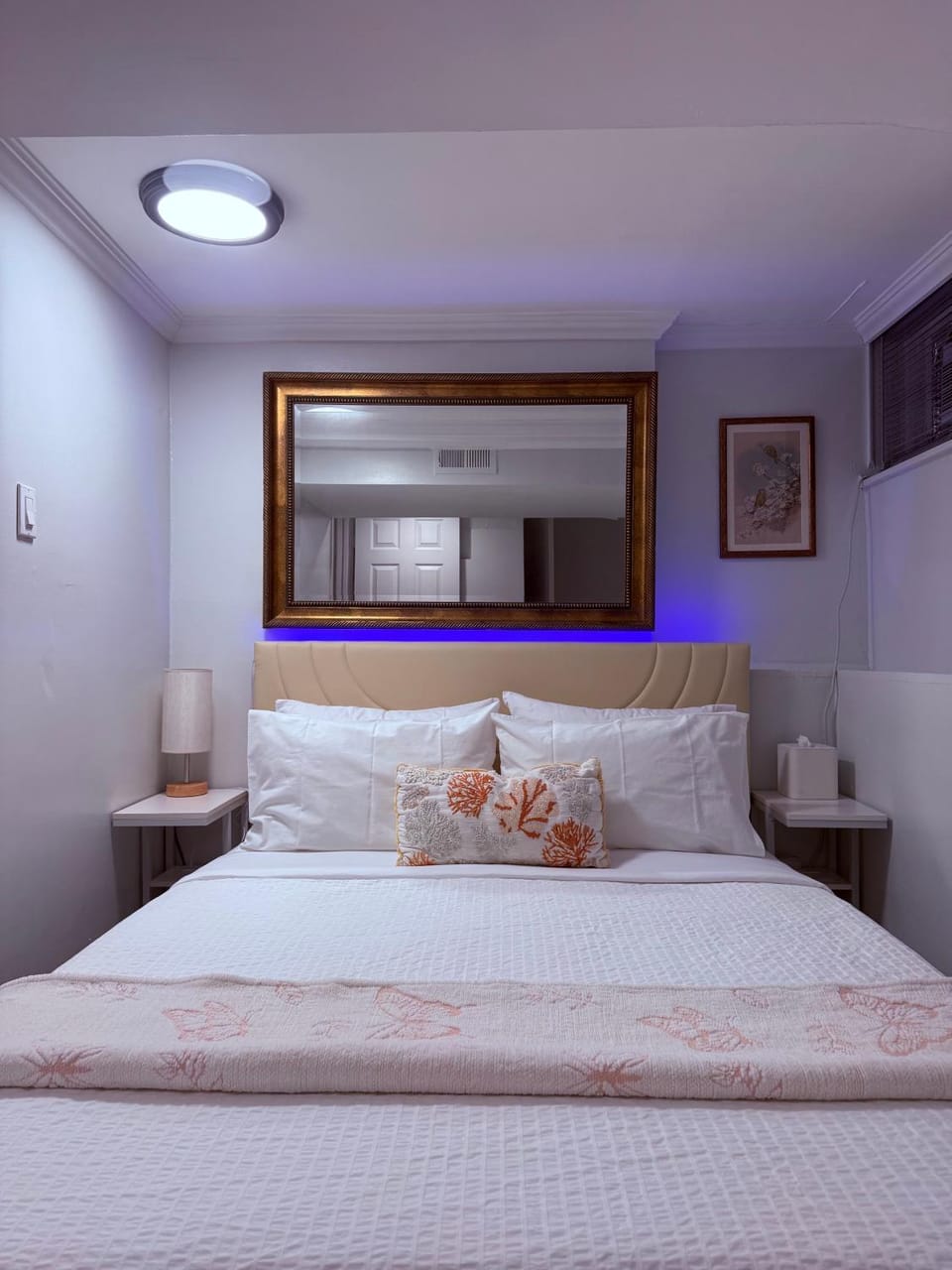 Intercon Ground Apartment in Jamaica