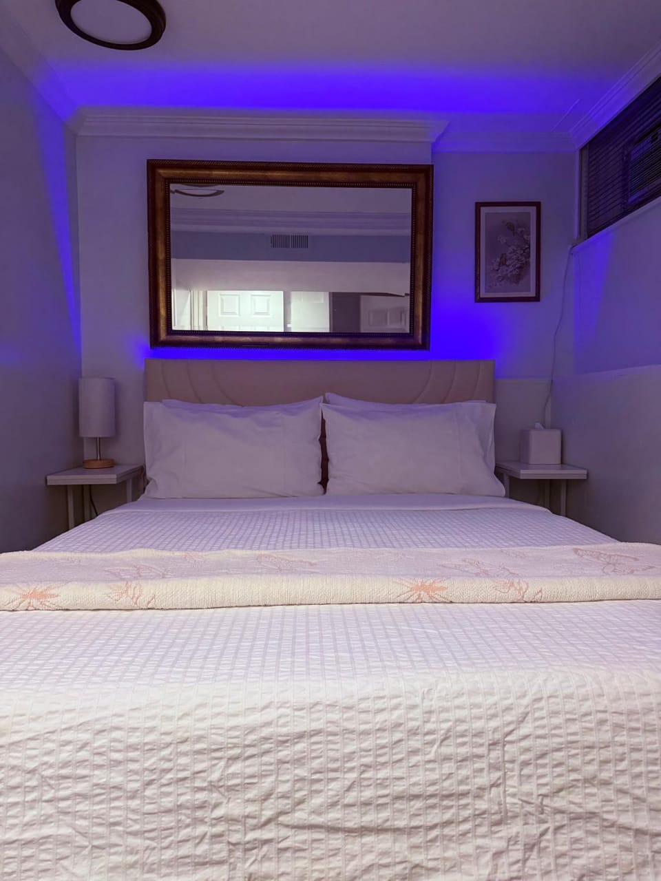 Intercon Ground Apartment in Jamaica