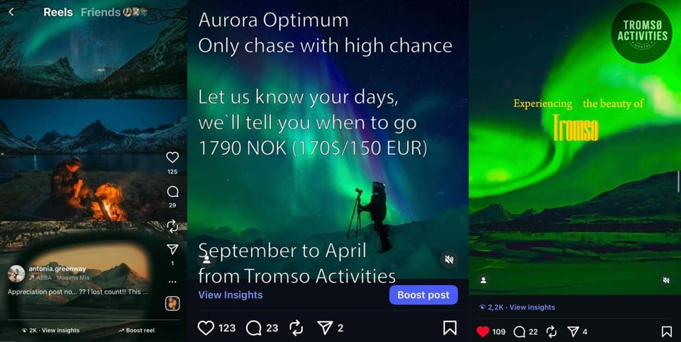 Night, Activities, Seasons