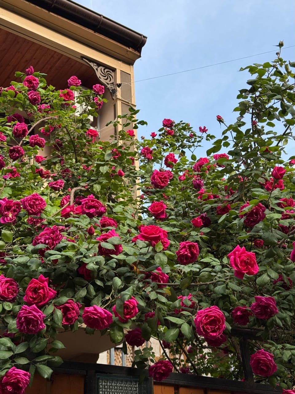 Spring, Day, Garden, Garden view