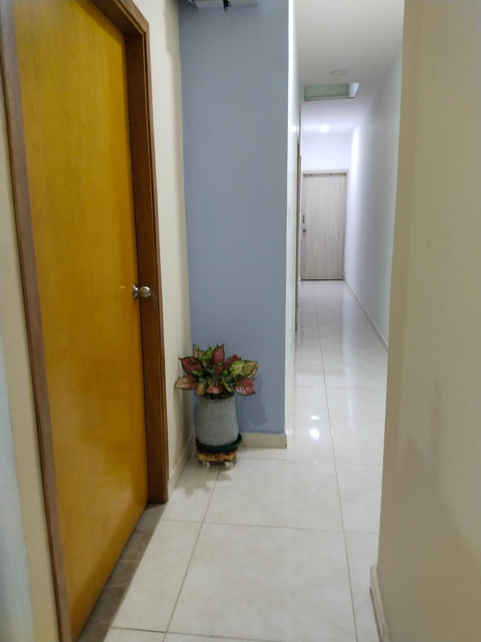 Oasis Olmos Apartment in Colombia