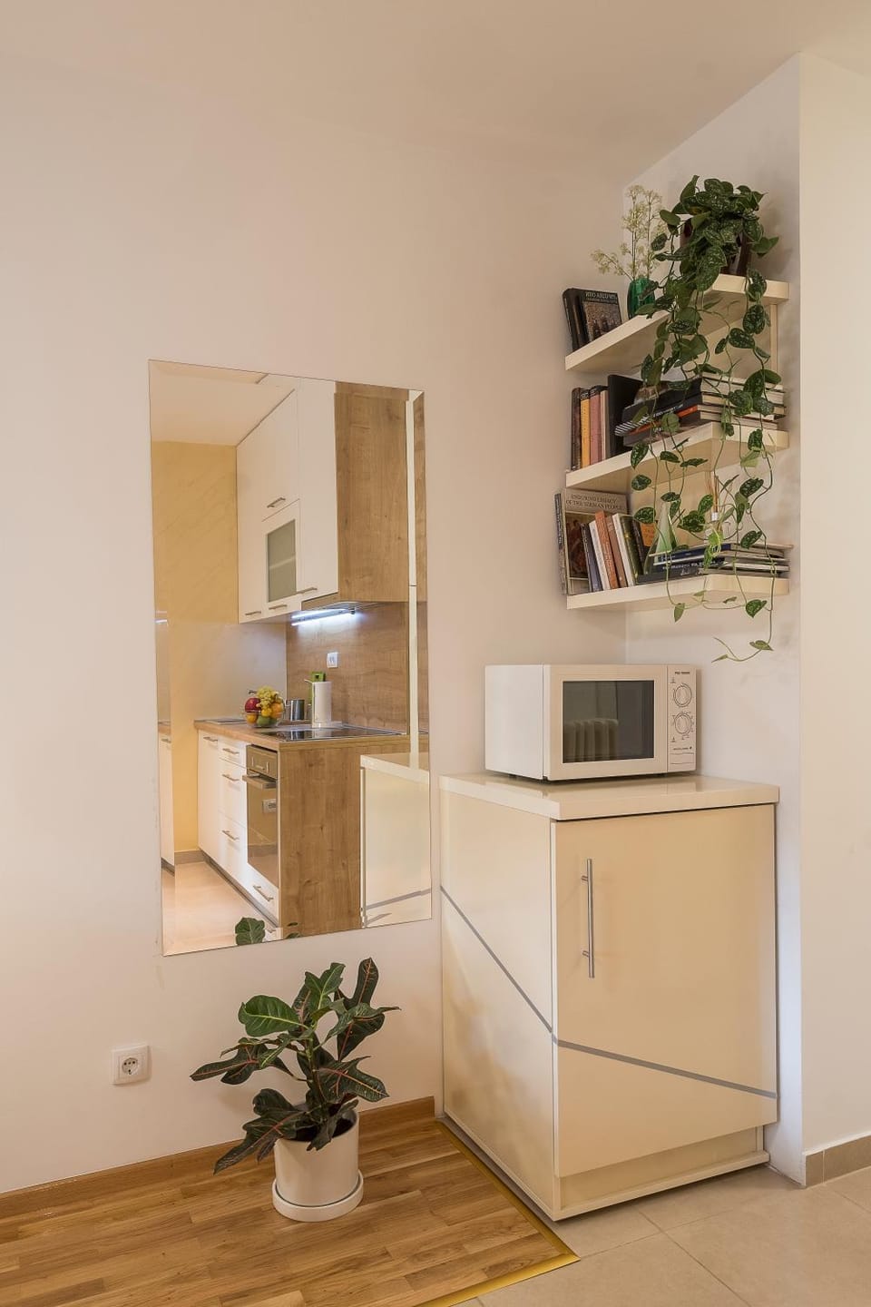 Kitchen or kitchenette