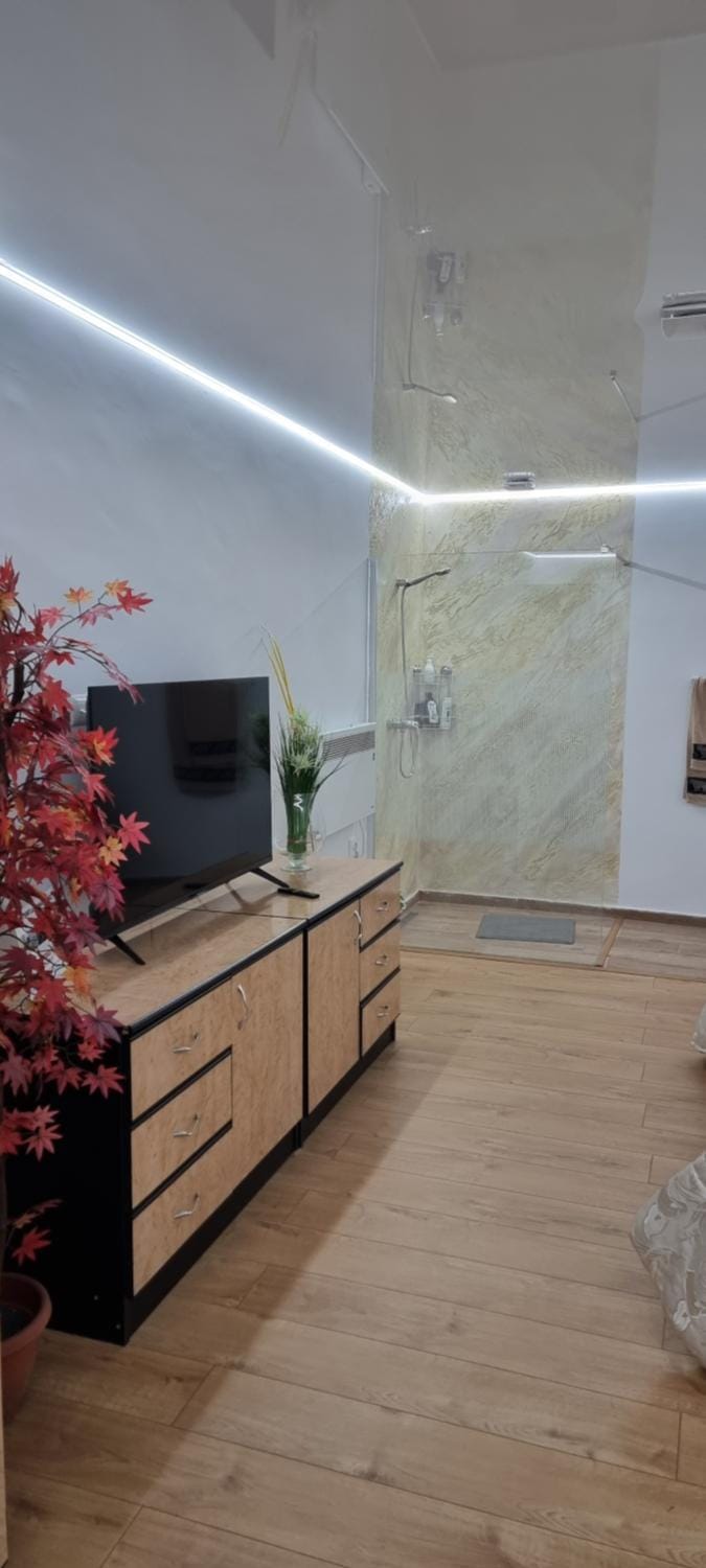 Roman Rezidence Apartment in Moldova
