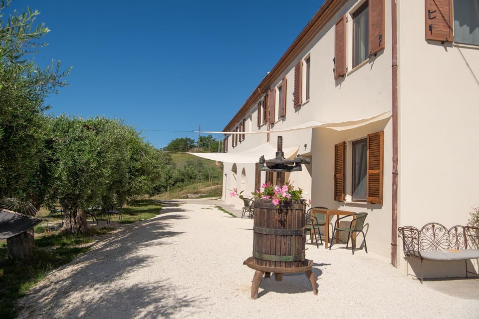 Property building, Patio, Spring, Garden, Garden view