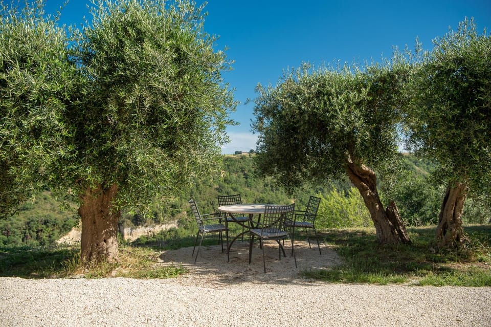 Spring, Natural landscape, Garden, Dining area, Garden view