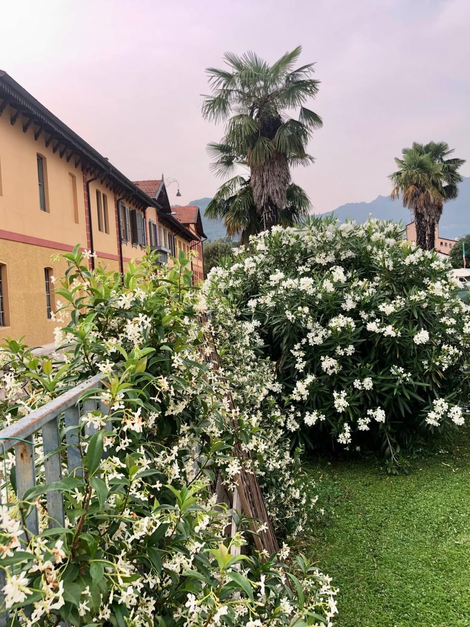 Roggia Maestra B&B Bed and Breakfast in Trentino-South Tyrol