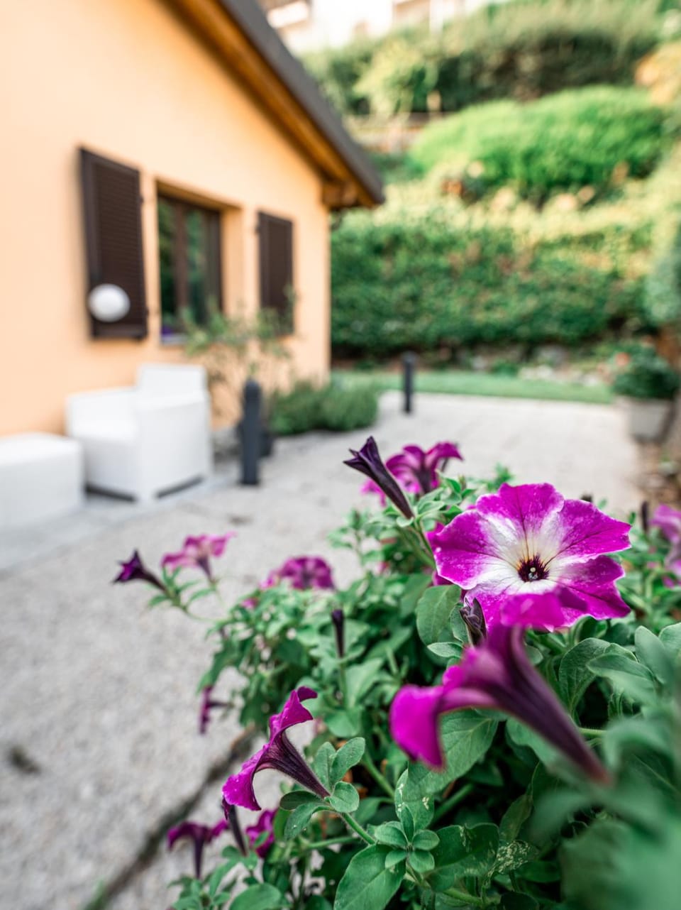 Garden, Balcony/Terrace