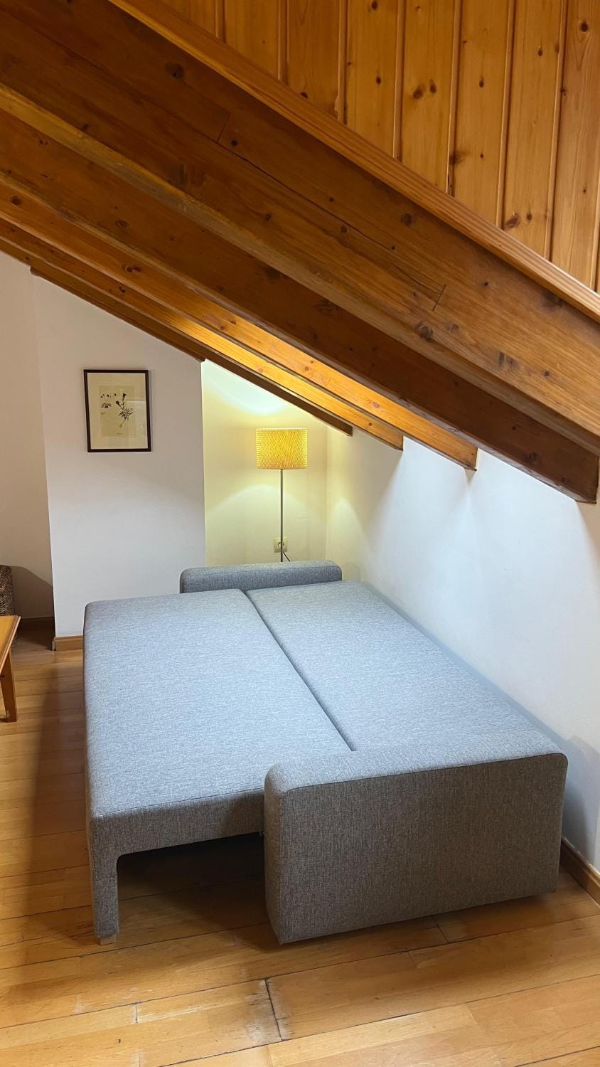 Casa La Muga Apartment in Benasque