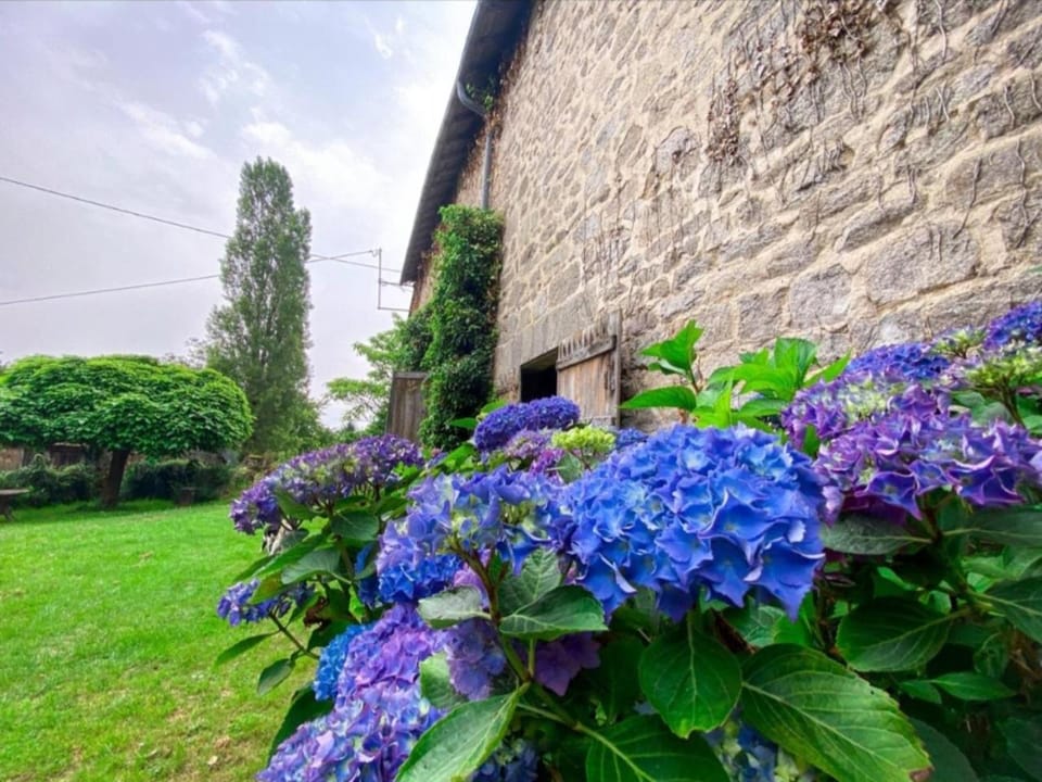 Garden, Garden