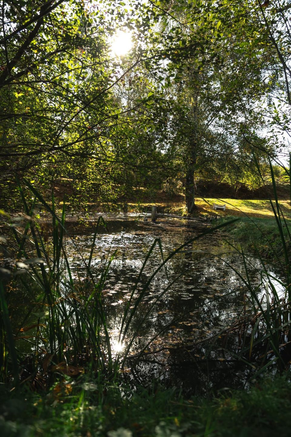 Domaine Abbey-Rose Bed and Breakfast in Nouvelle-Aquitaine