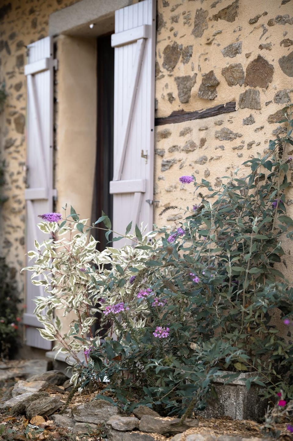Domaine Abbey-Rose Bed and Breakfast in Nouvelle-Aquitaine