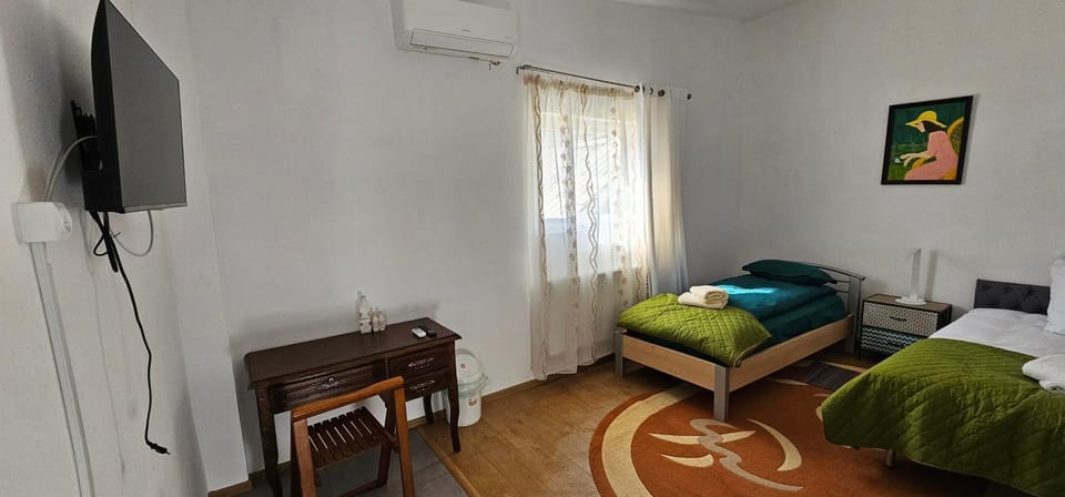 Ascunzis House in Romania