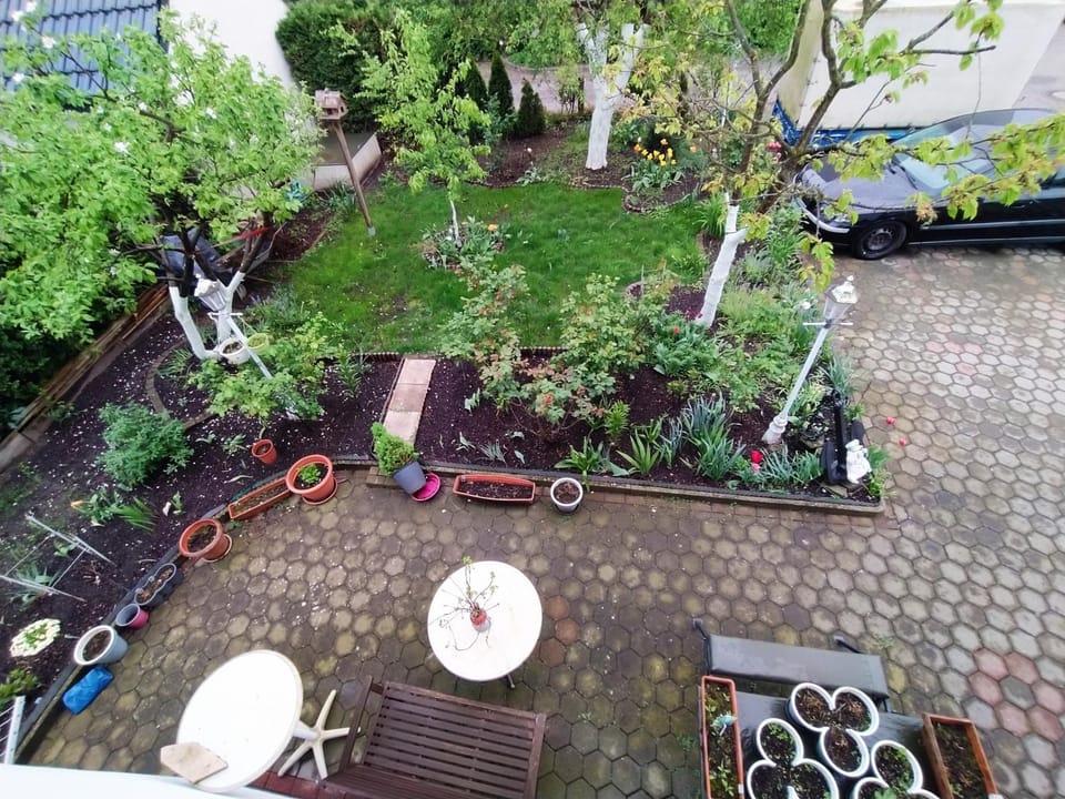Spring, Garden, Garden view