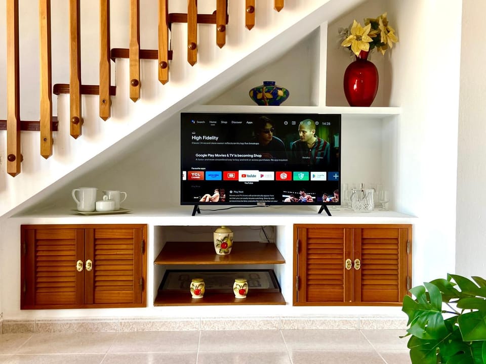 TV and multimedia