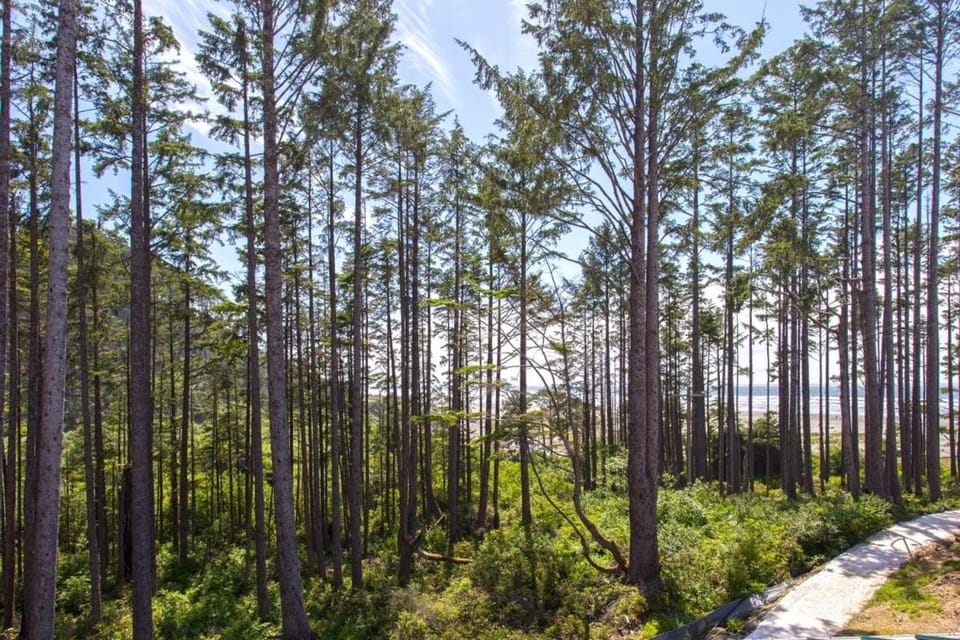 Into the Mystic by Seabrook Hospitality House in Seabrook