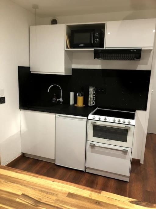 Kitchen or kitchenette, dishwasher, stove