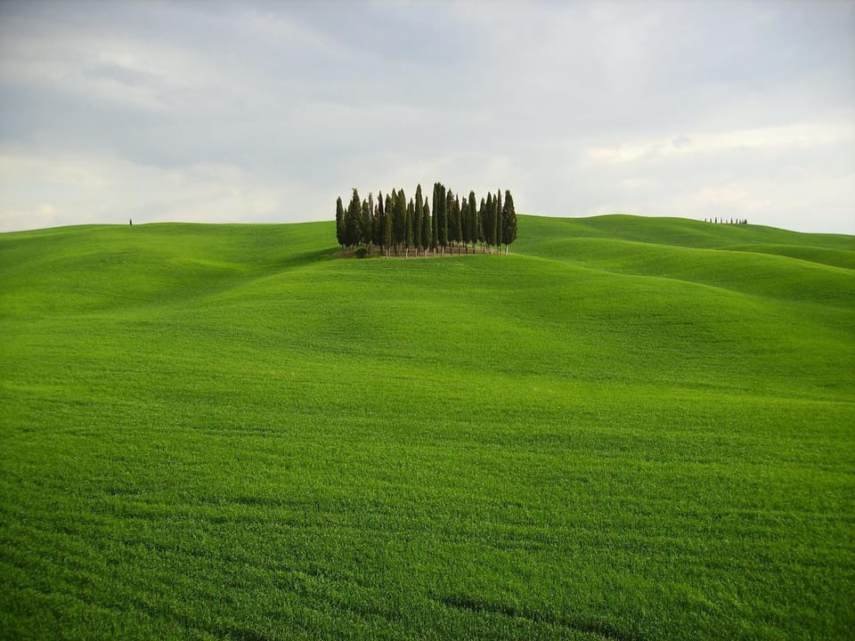 Natural landscape