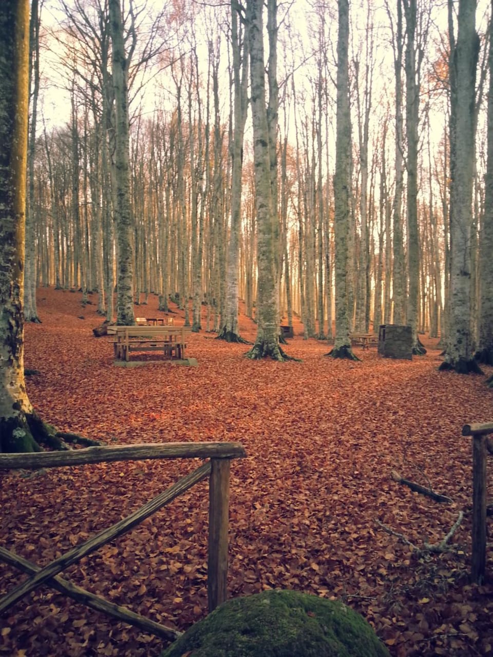Autumn