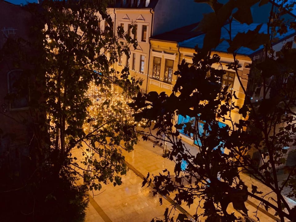 Old Town Central Apartment Apartment in Craiova