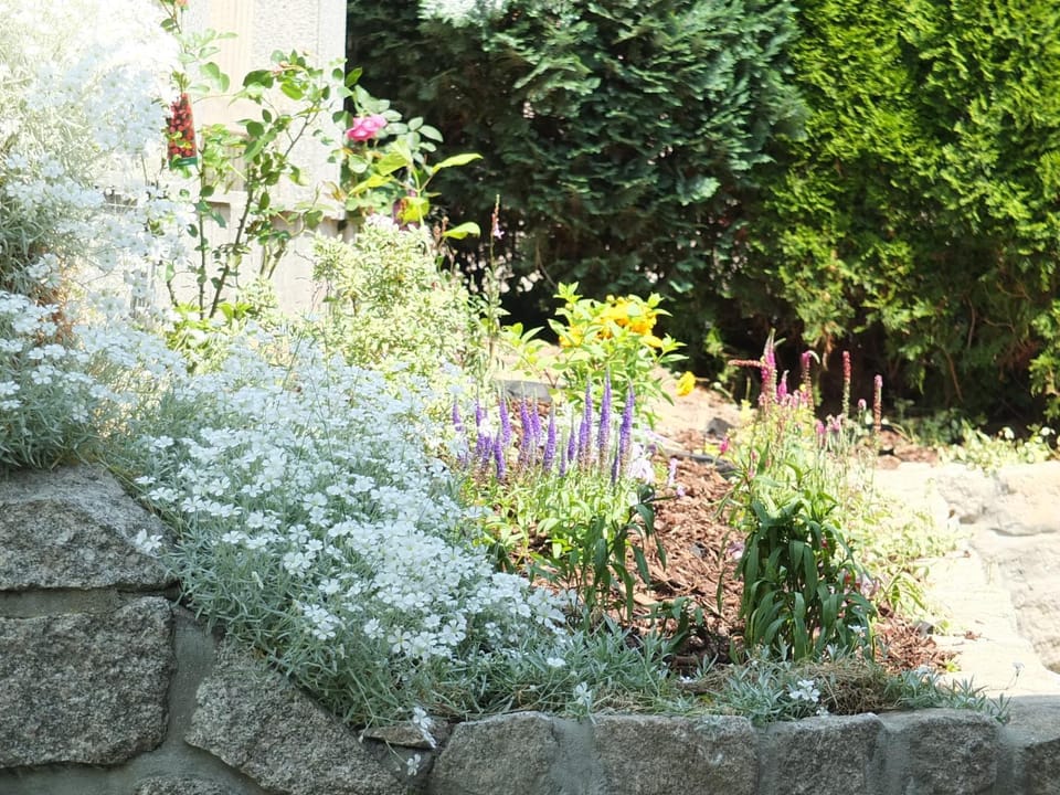 Spring, Garden