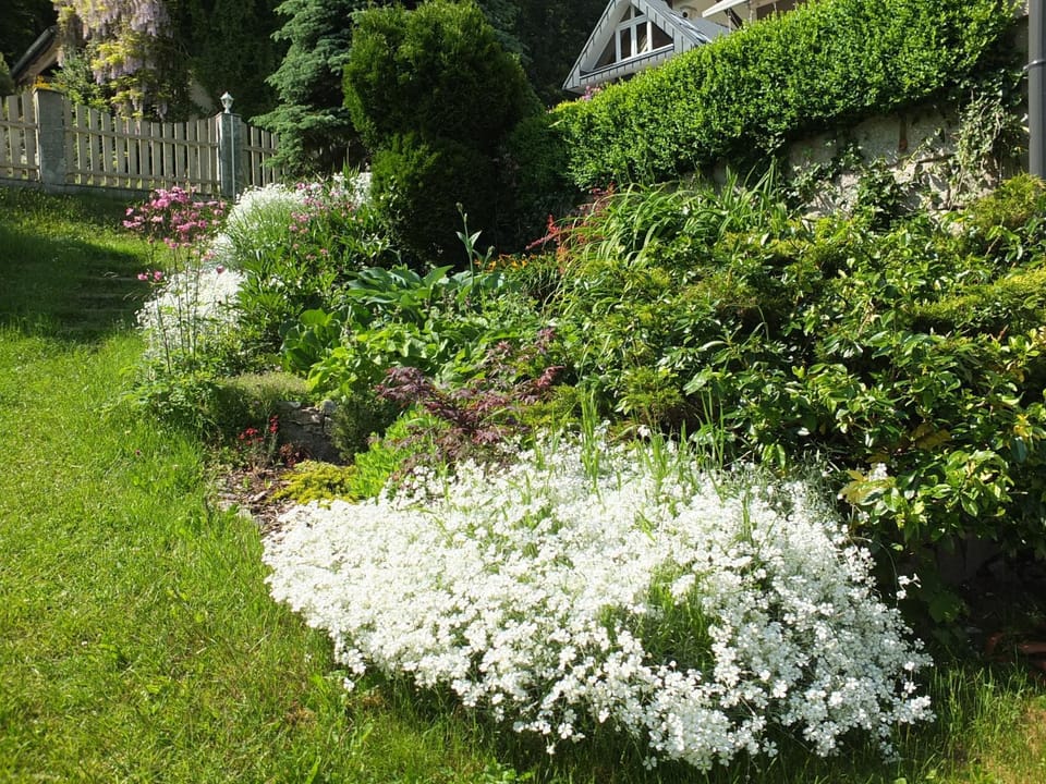 Spring, Garden