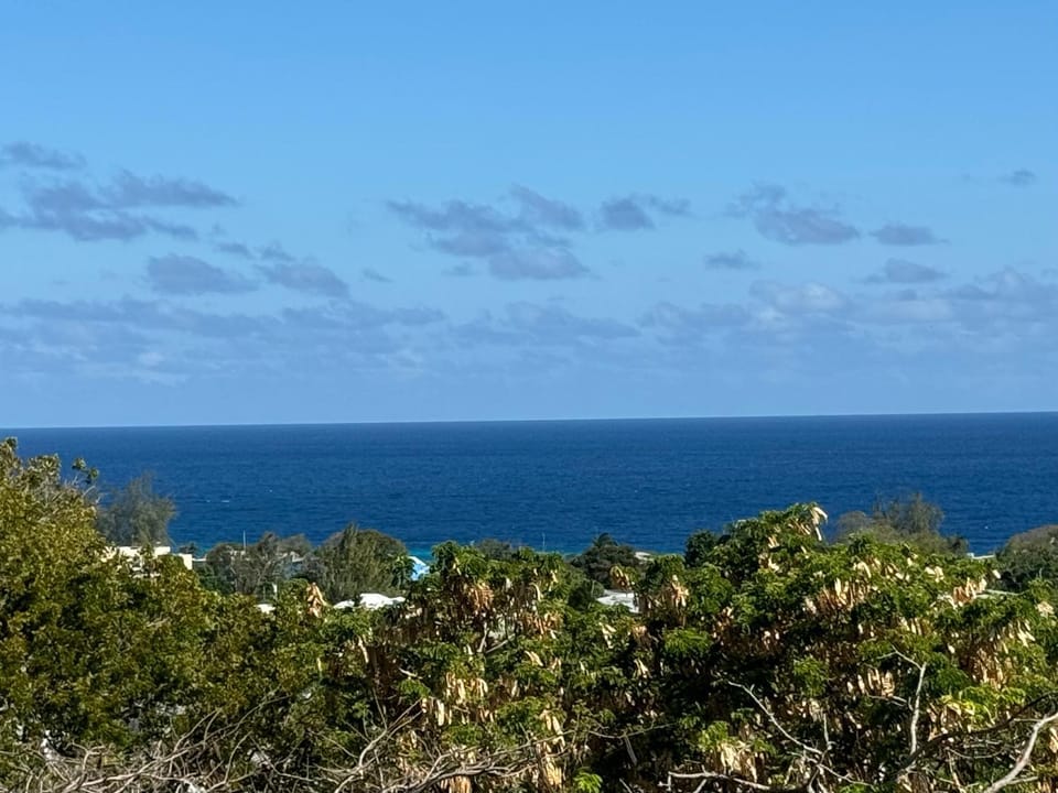 Property building, Natural landscape