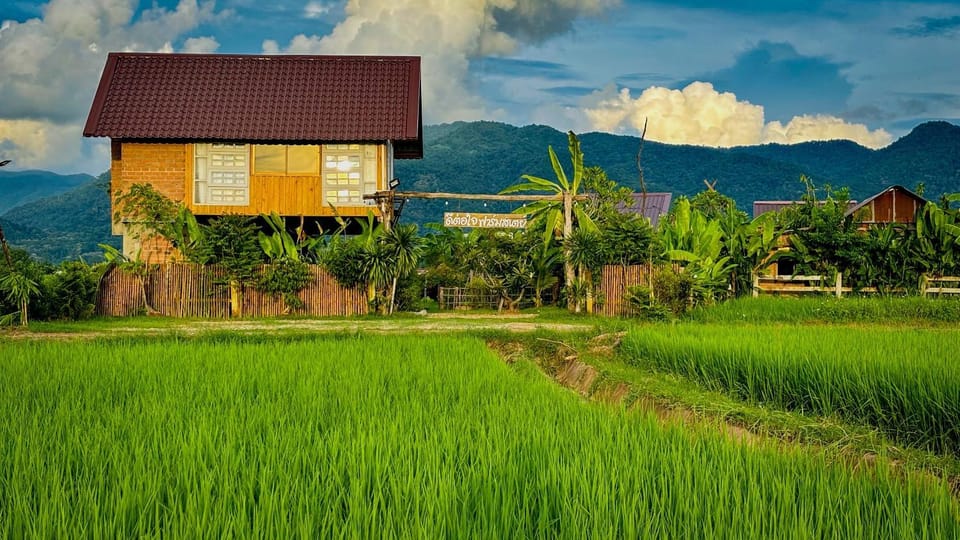 Property building, Day, Natural landscape, Garden, Garden view, Mountain view