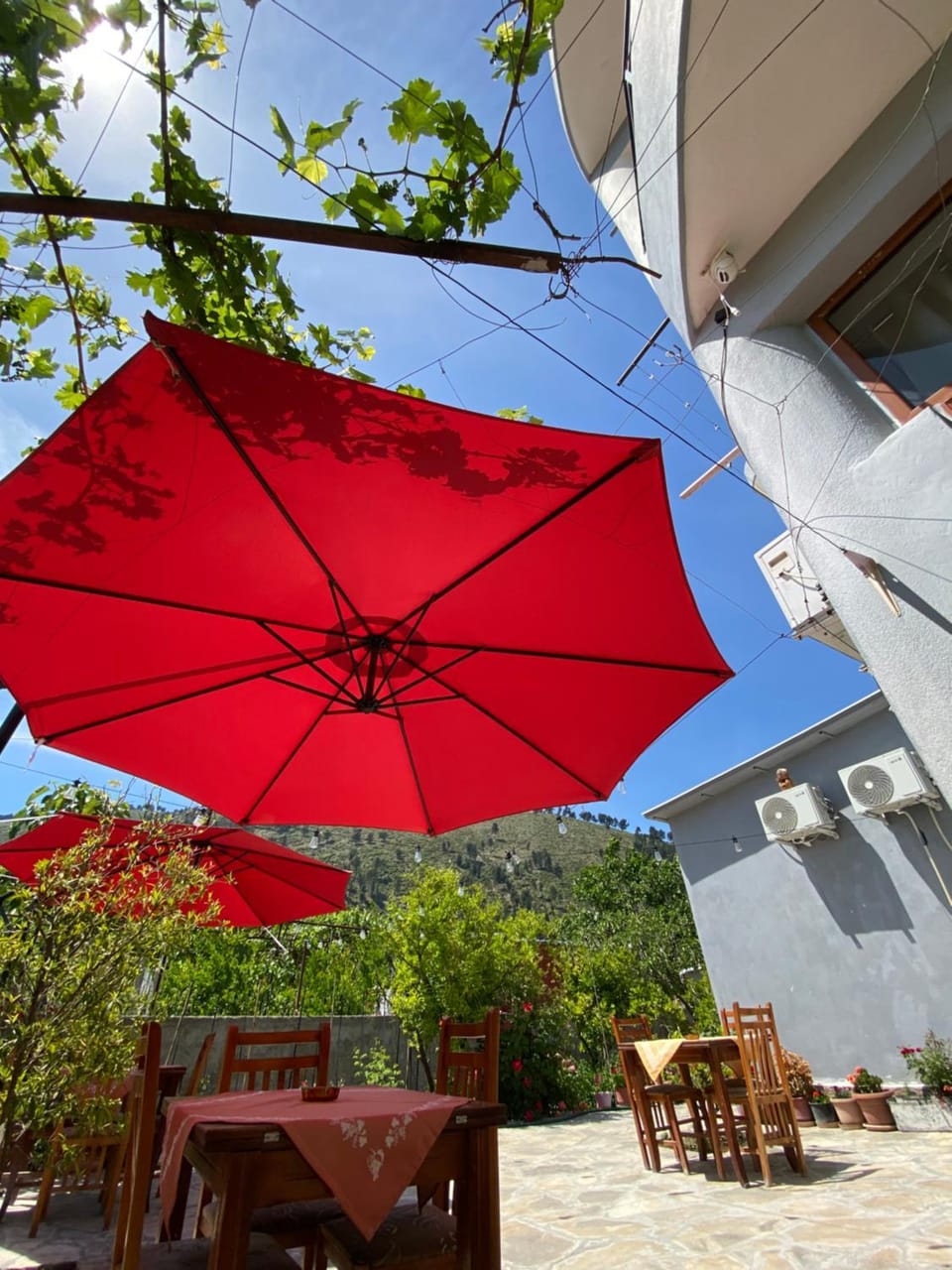 Guesthouse SELI Bed and Breakfast in Europe