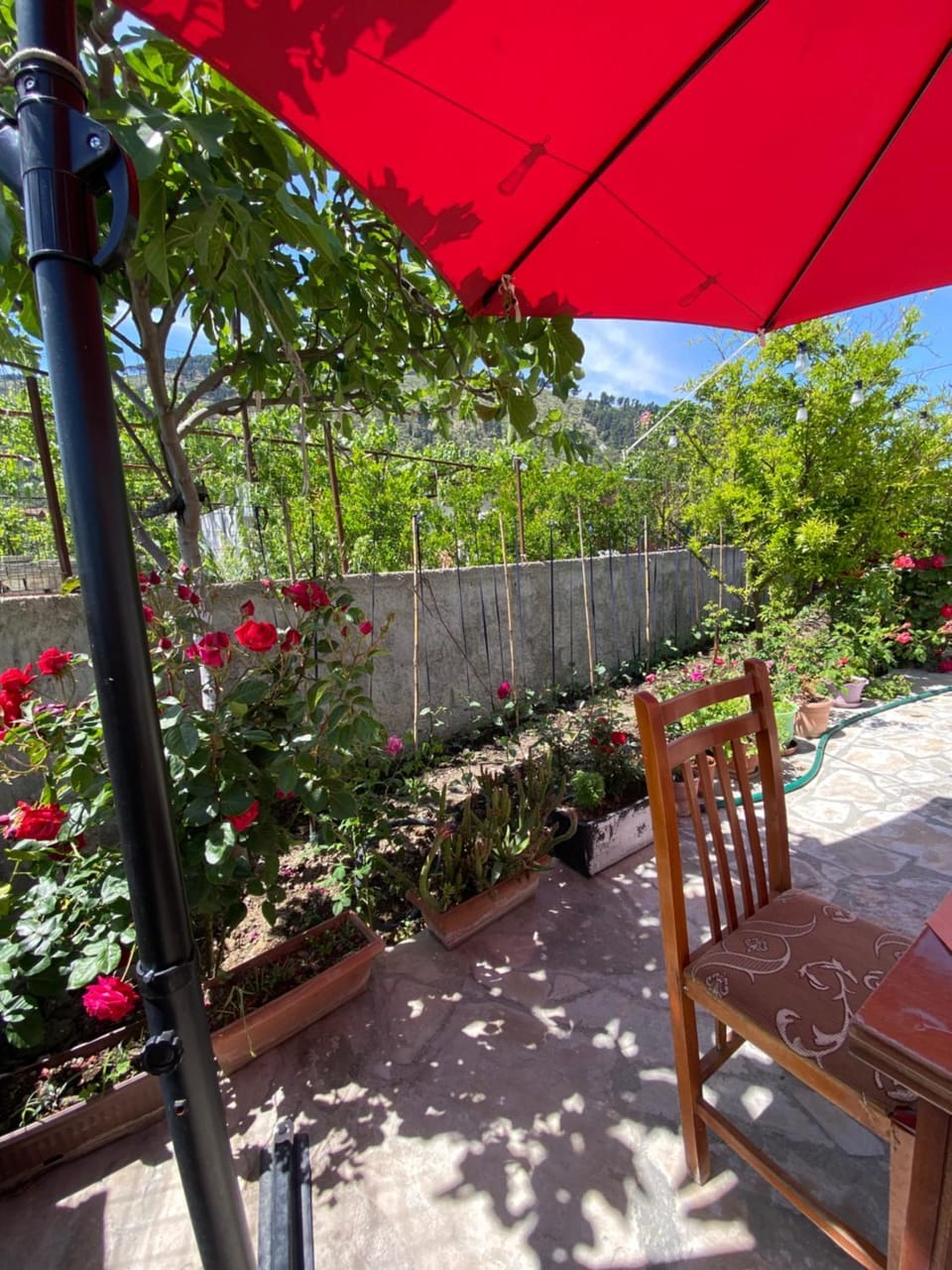 Guesthouse SELI Bed and Breakfast in Europe
