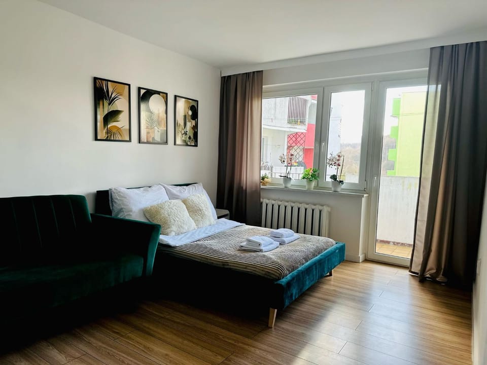 Bed, Living room, Photo of the whole room, Bedroom, towels