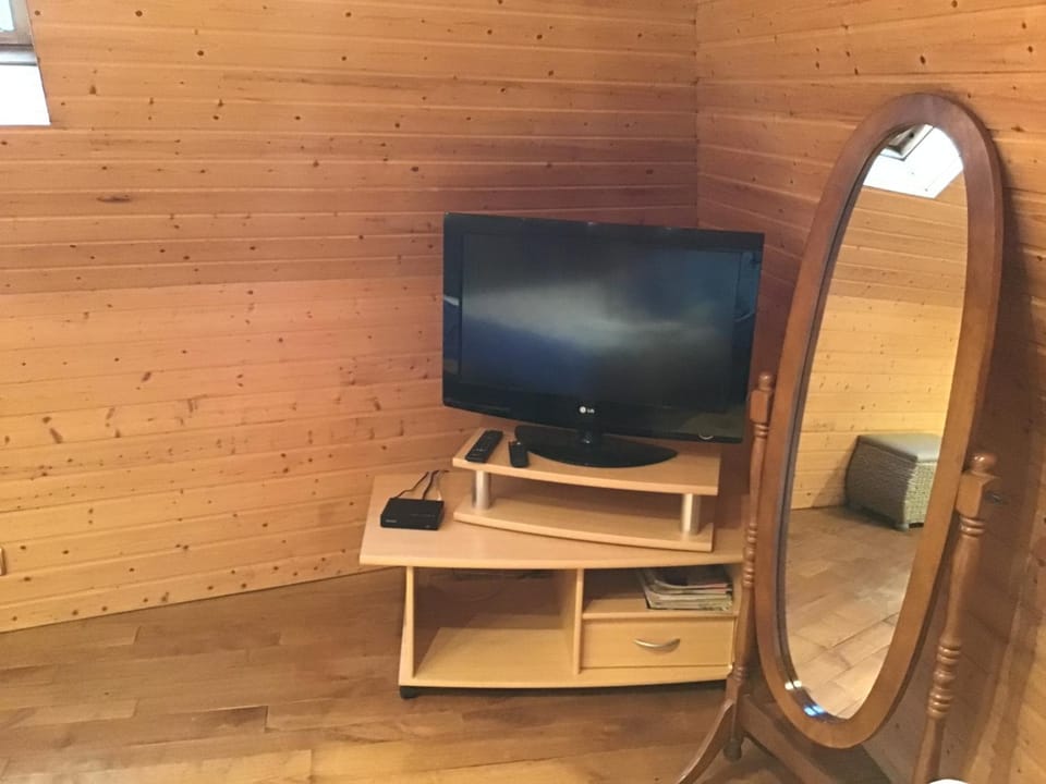 TV and multimedia