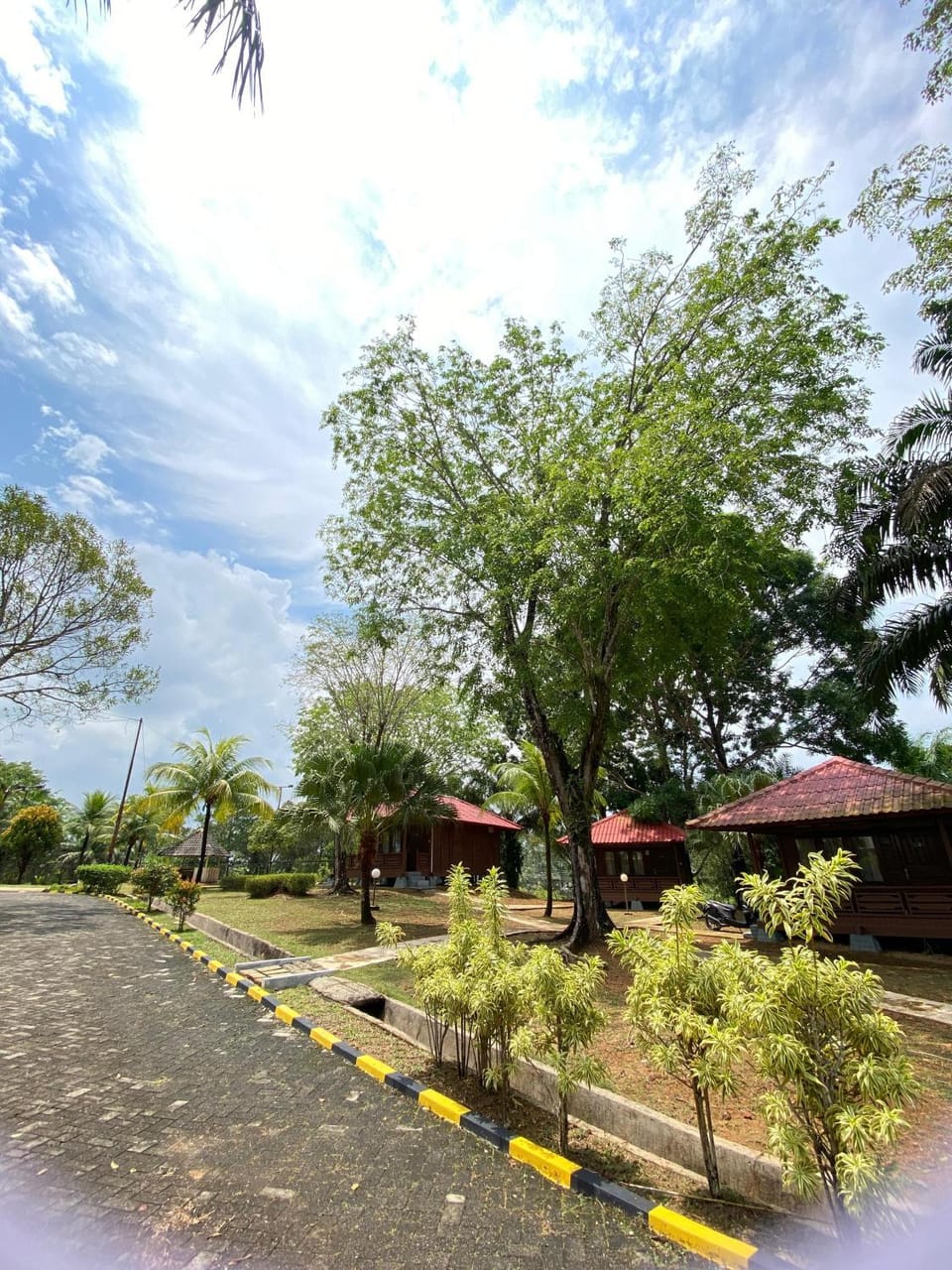 Natural landscape