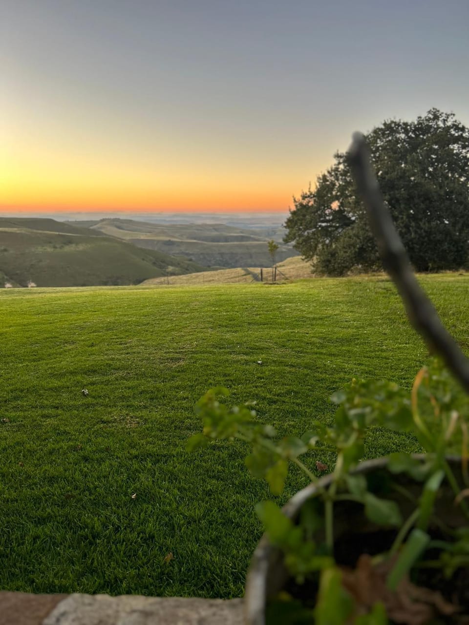 Spring, Natural landscape, Sunset