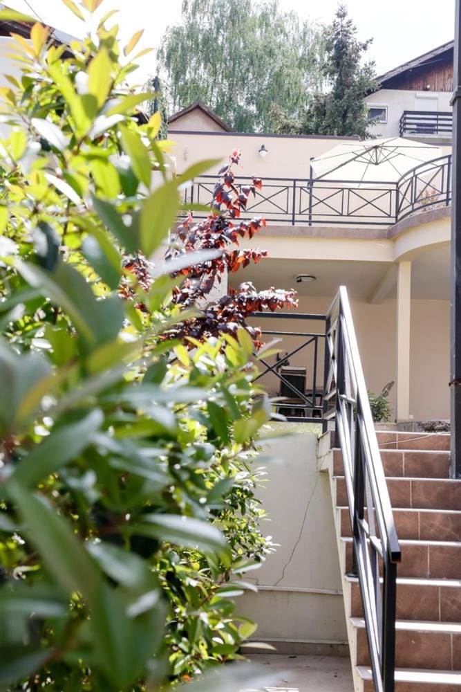 Villa Vanja Belgrade Villa in Belgrade