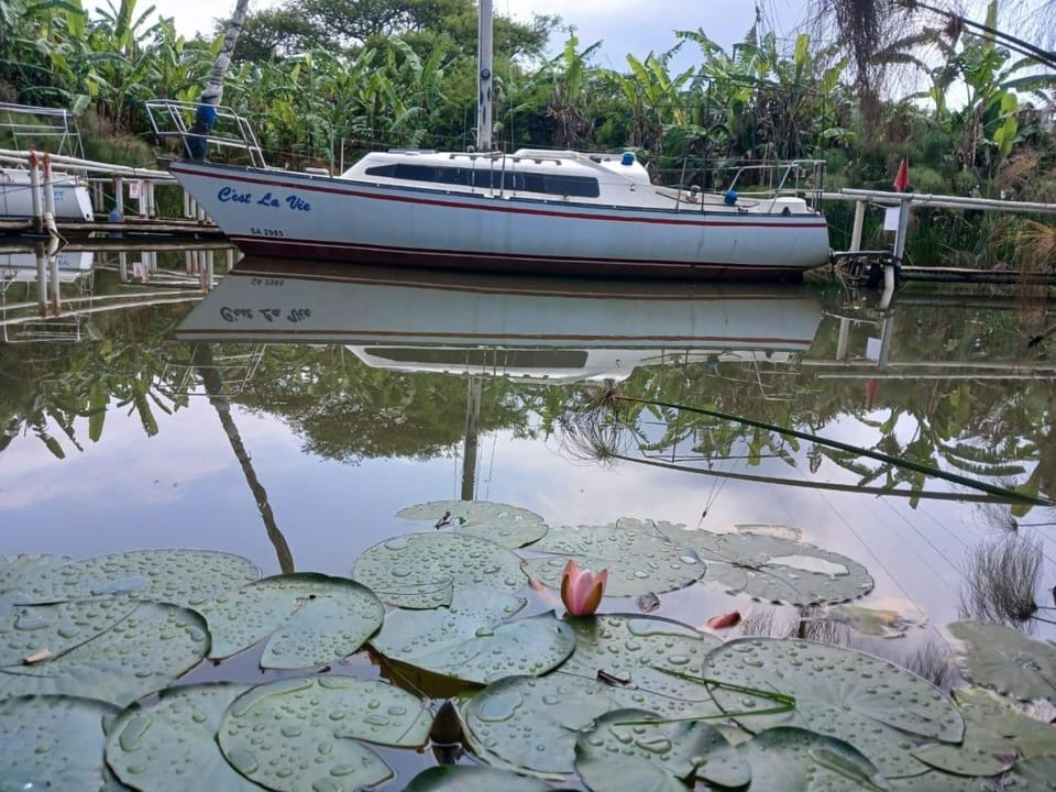 Lake view
