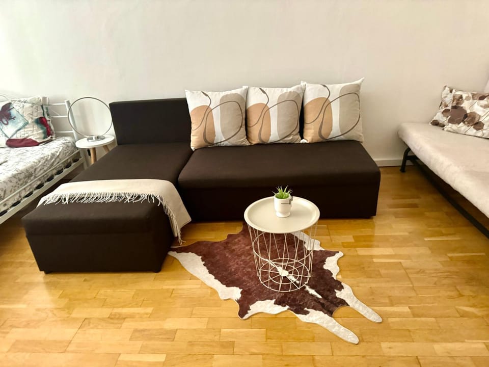 Fantastic apartment in the City Center Apartment in Prague