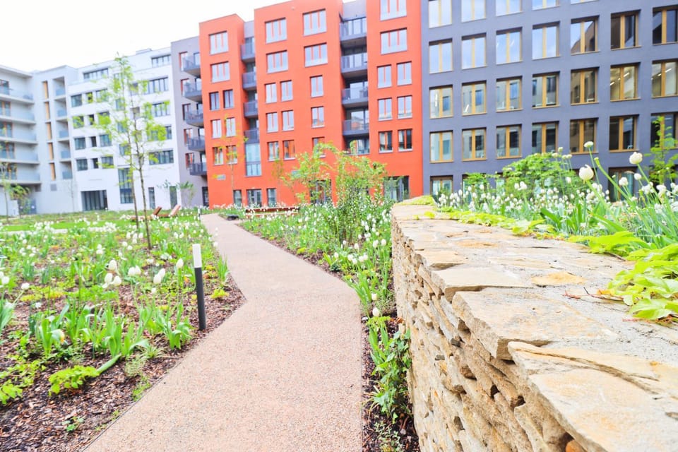 Spring, Garden, Garden view
