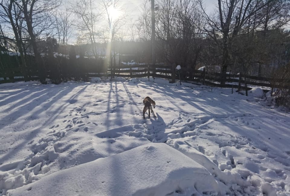 Winter