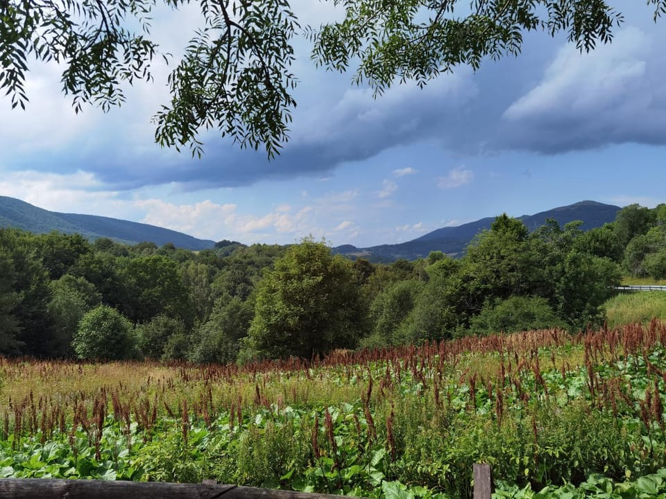 Natural landscape