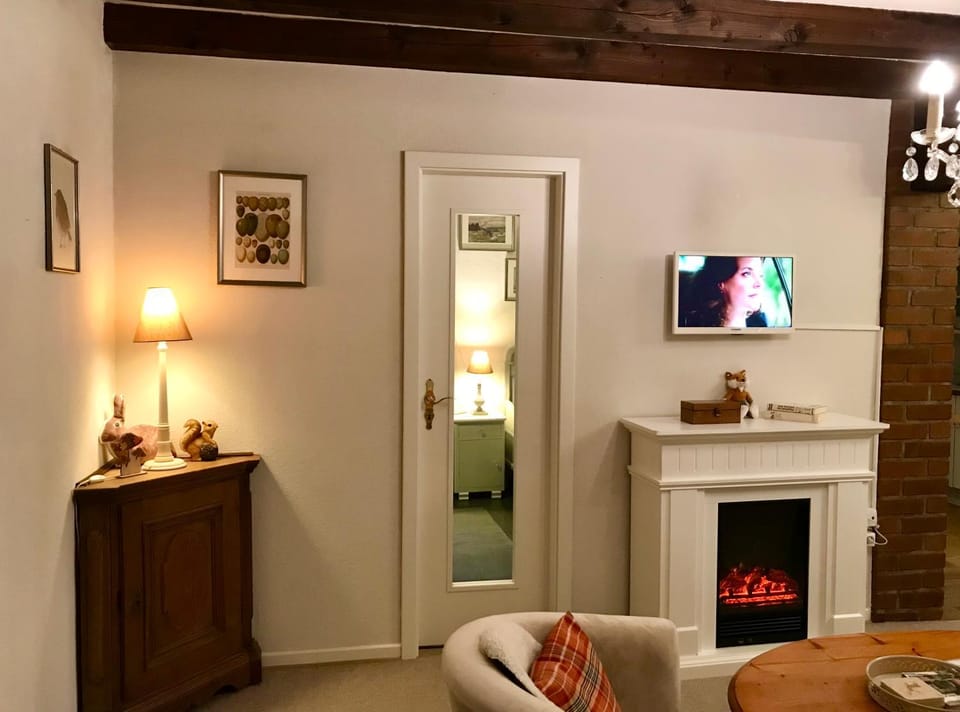 TV and multimedia, Living room, fireplace